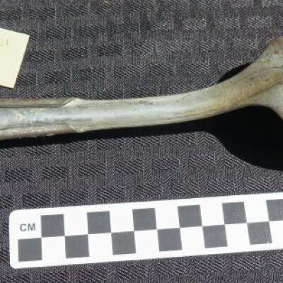 Overview of underside: Origformat: Artifact