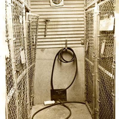 Hose in room; chain link fence: "Out of business"