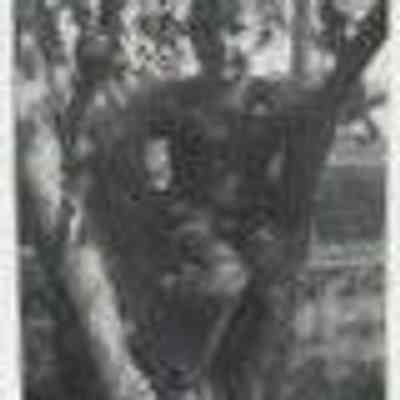 Lester K Brunner