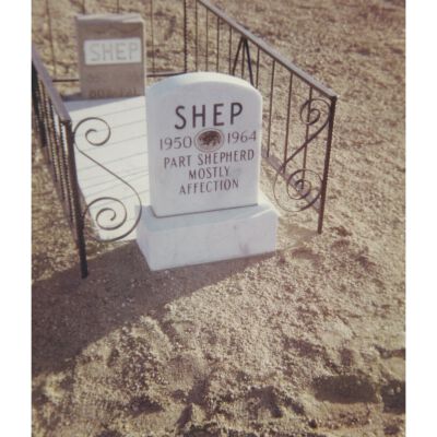 Colored Photograph of Shep the Tollbooth Dog's Tombstone