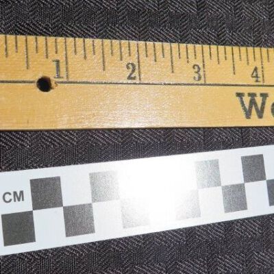 Detail: Origsize: 1"(W) x 36" (L); Origformat: Artifact