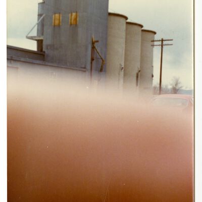 Photograph