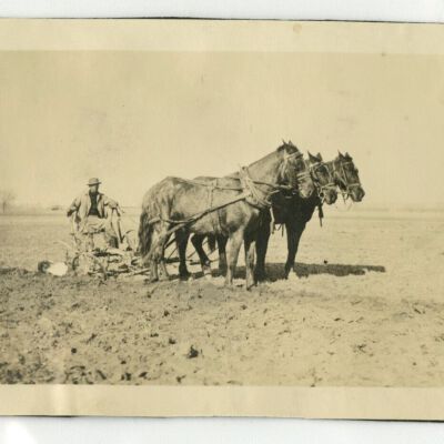 Print, Photographic