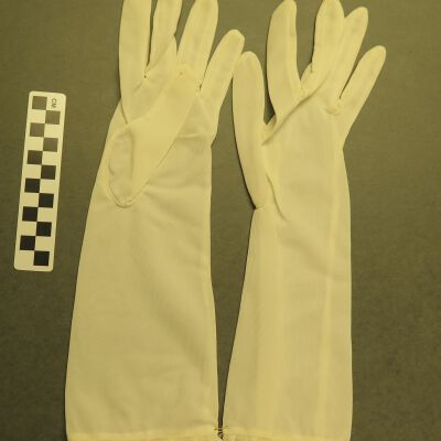 Glove
