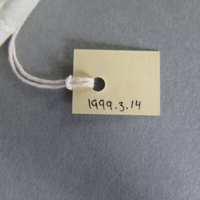 Number of dress: Origsize: 9" (w) x 16" (l); Origformat: Artifact