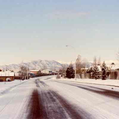 Lac Amora Neighborhood