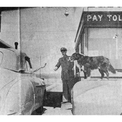 Shep Watches as a Tollbooth Worker Collects a Toll