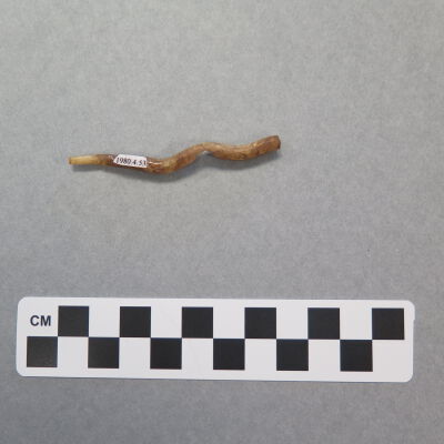 Number of fragment.: Origsize: 3" (l) x .25" (diam); Origformat: Artifact