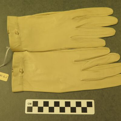 Glove
