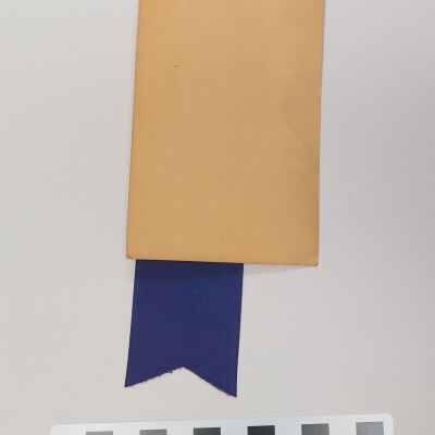 Back of ribbon: Origsize: 1.5" (w) x 6.5" (l); Origformat: Artifact