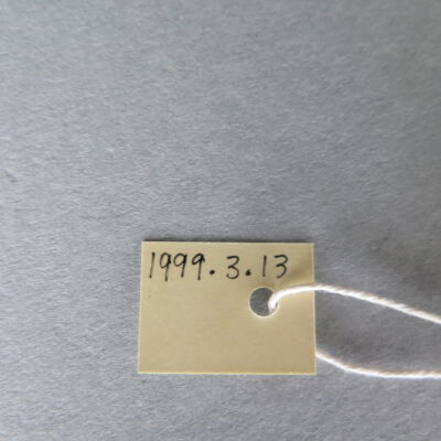 Number of slip: Origsize: 8" (w) x 20" (l); Origformat: Artifact