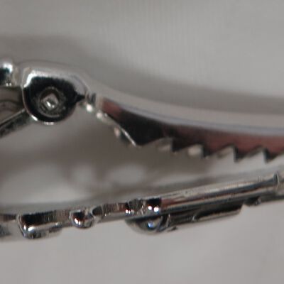 Detail View: Origsize: 1.5"(L) x .5"(H); Origformat: Artifact