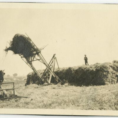 Print, Photographic