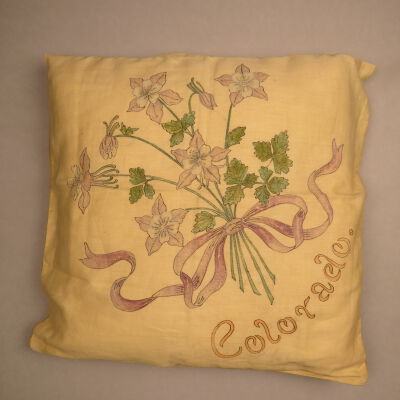 Colorado Pillow