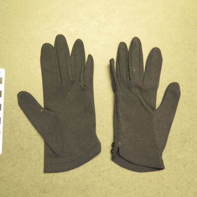 Glove