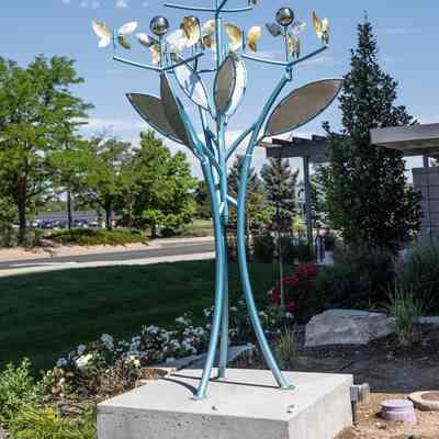 Broomfield Butterfly Tree