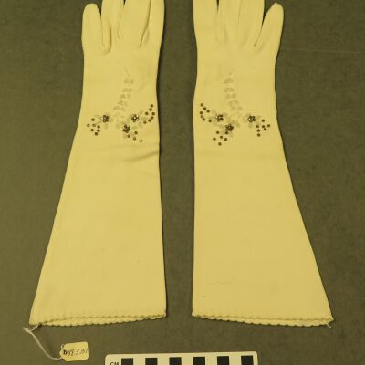 Glove