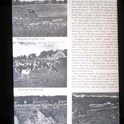 Elmwood Ranch Sale Brochure Left Side