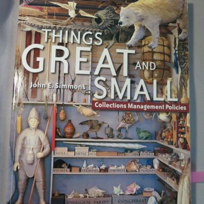 Things Great and Small - Collections of Managment Studies