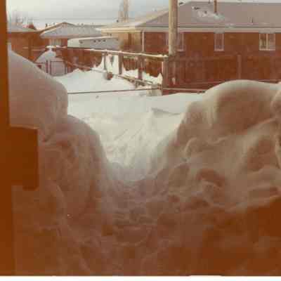 Color photograph of snow during 1982 blizzard