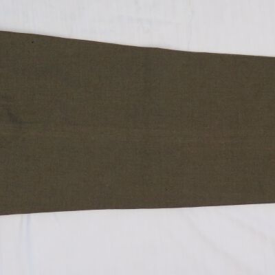 One side of pants.: Origformat: Artifact