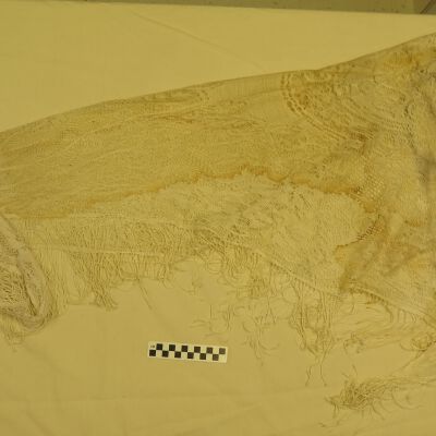 Shawl