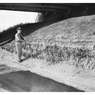 Tollbooth Worker Tending to the Plants