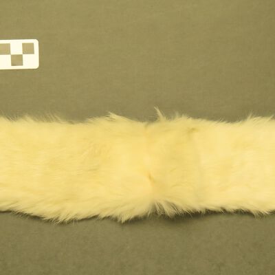 Collar