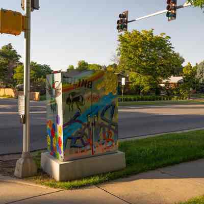 Pollinator Street Art