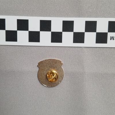 Pin, Promotional