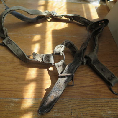 Harness, Horse
