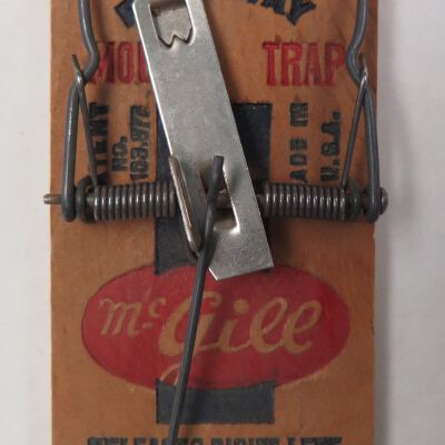 Front of second trap: Origsize: 2" (w) x 4" (l); Origformat: Artifact
