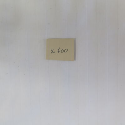 Jar number.: Origsize: 6.5" (h) x 3.25" (di; Origformat: Artifact