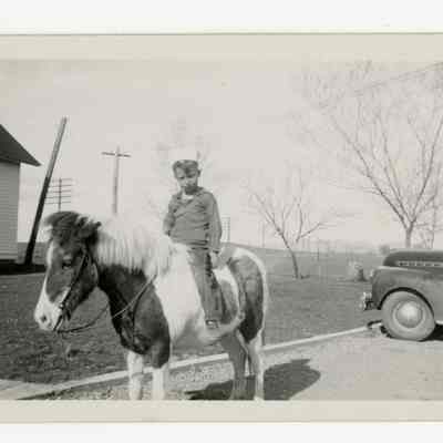 Boy on pony