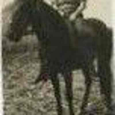 Young woman on a horse