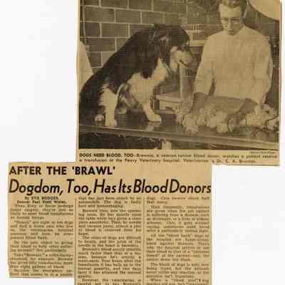Clyde A. Brunner Veterinary Hospital and Dog Blood Donations