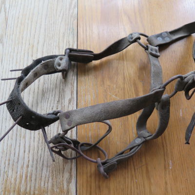 Calf Weaning Halter