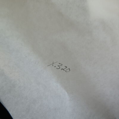 Number of collar: Origsize: 6" (w) x 10" (l); Origformat: Artifact