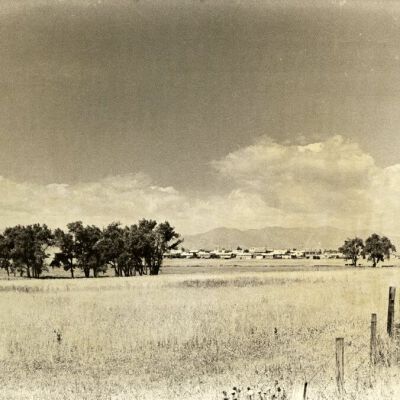 View of a filed in Broomfield, circa 1970: Origsize: 8" x 10"; Origformat: Print-Photographic; Resolution: 500dpi
