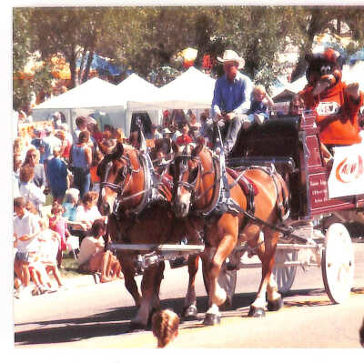 A&W Horse-drawn Carriage at 1989 Broomfield Days