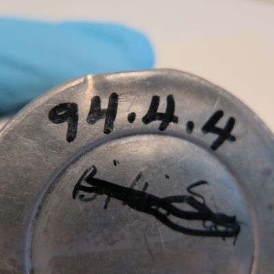 Number on bottom of shaker.: Origsize: 8.25" (h) x 3.25" (d; Origformat: Artifact
