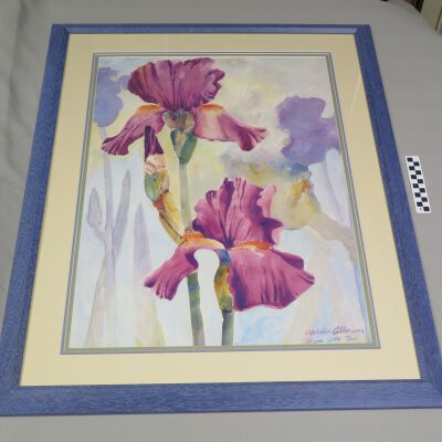 Iris Mist