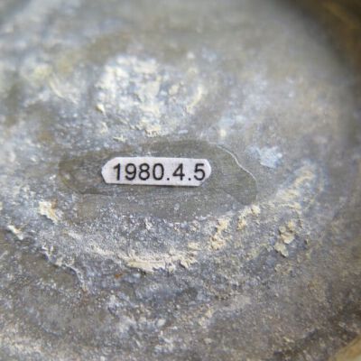 Number of lid.: Origsize: 2" (h) x 8" (w) x 7.; Origformat: Artifact