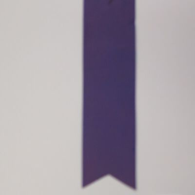 Back of ribbon: Origsize: 1.5" (w) x 6.5" (l); Origformat: Artifact