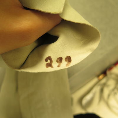 Number inside gloves.: Origsize: 4" (w) x 22" (l); Origformat: Artifact