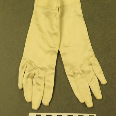 Glove