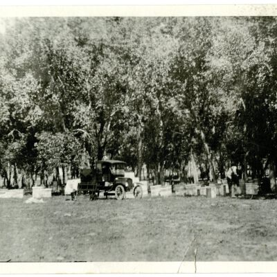 Crawford Bee Boxes