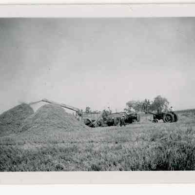 threshing wheat