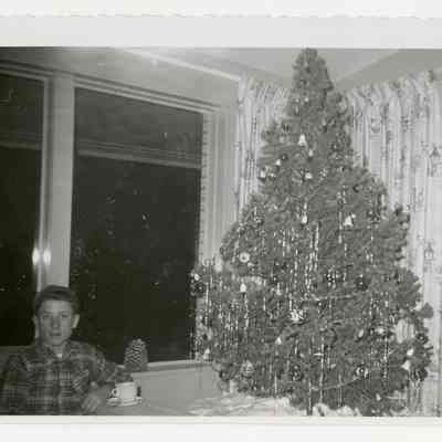 Brunner Farmhouse christmas