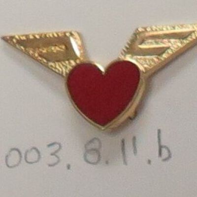 Pin, Insignia